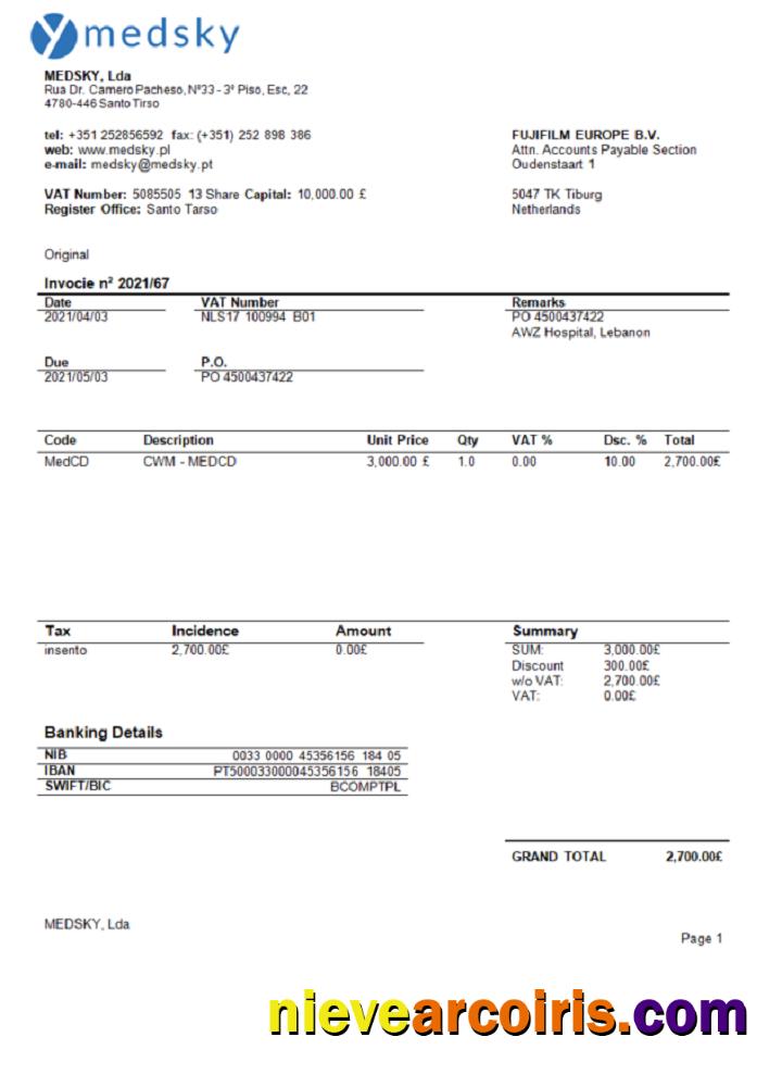Portugal Medsky Lda company invoice